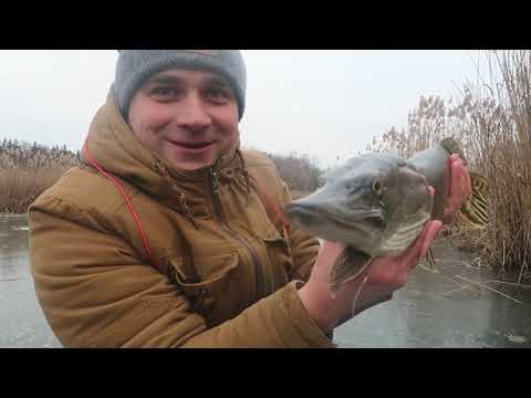 Видео: ✅  [ЖЕРЛИЦІ на ЩУКУ] |  ➤[Мій перший трофей] | ✎ 6-ть ЩУК ➤ Риболовля на жерлиці в озері