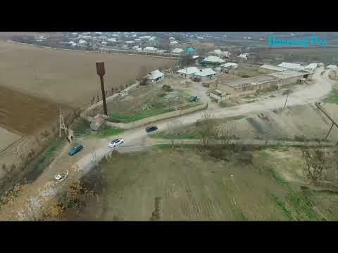 Видео: Туй муборак Дружба Tuy Mubarak Drujba