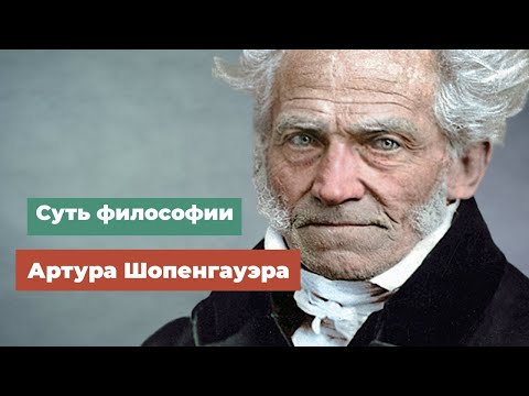 Видео: Суть философии Артура Шопенгауэра.