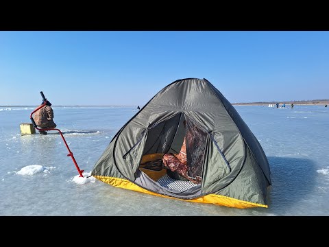 Видео: Дністровський лиман! Рибачу в наметі. Крупна плотва з криги
