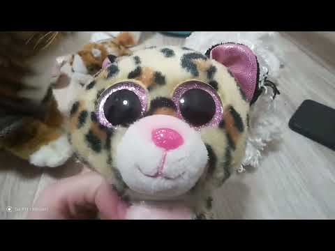 Видео: 3 часть животное в пути (новенкая!)