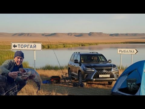 Видео: РЕКА ТОРГАЙ ВТОРАЯ ЧАСТЬ#рыбалка #врек #fishing #щуканаспиннинг #щука #щукаосенью #щуканаджиг 