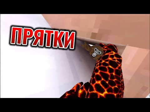 Видео: ПРЯТКИ в Gorilla Tag !