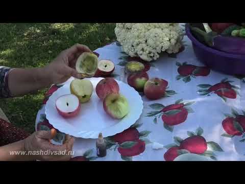 Видео: Проверка зрелости яблок