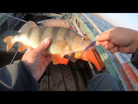 Видео: Рыбалка на Дону  Хутор Пятиизбянский в Калачёвском районе Волгоградской области.  Продолжение...