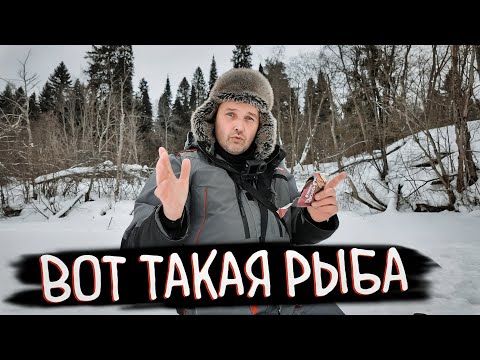 Видео: ЗИМНЯЯ РЫБАЛКА: ОБЪЕХАЛ 4 ЯМЫ И НАШЁЛ РЫБУ! 🐟