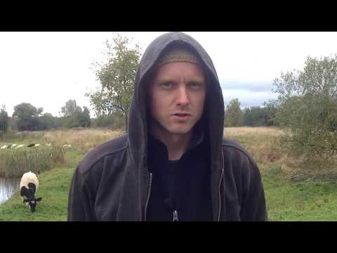 Видео: Аренда земли/Личный опыт