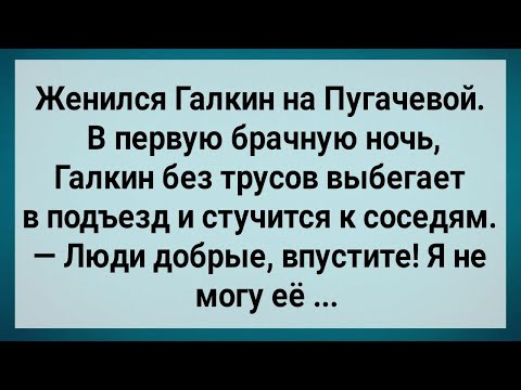 Видео: Как Галкин На Пугачевой Женился! Первая Брачная Ночь! Сборник Свежих Анекдотов! Юмор!.