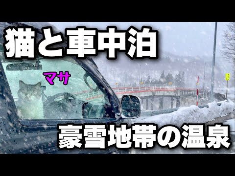 Видео: Зимний автомобильный поход с котом｜Горячие источники, известные обильными снегопадами