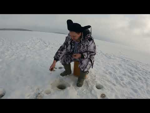 Видео: Рыбалка в Карелии на Онежском озере.3.03.2022. Огромная плотва.