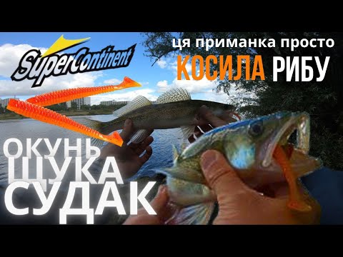 Видео: Окунь Щука Судак ! Секретна приманка яка ловила все! Натрапив на короткій вихід! #судак #щука #окунь