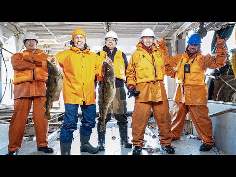 Видео: Рыбный промысел на Камчатке. Серия #2 Ловим 400 тонн дальневосточного минтая. Берингово море