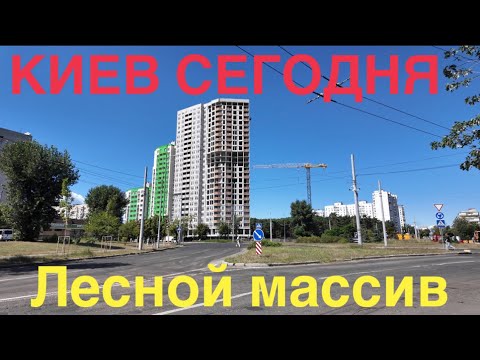 Видео: 15.08.2024, Деснянский район, Лесной массив