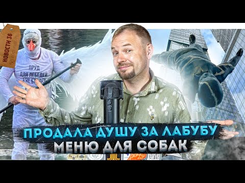 Видео: День города в Москве | Москвичка продала душу | На Патриарших задержали «лебедя» | Меню для собак