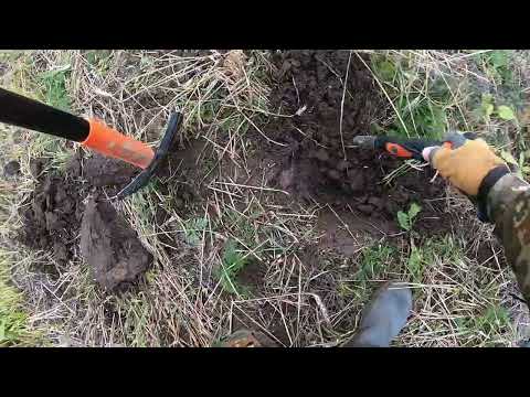 Видео: Знакомство С  DУSЬЕН !.....    Реальный коп XP DEUS 2