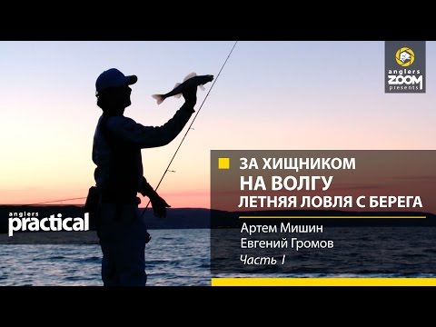 Видео: За хищником на Волгу. Летняя ловля с берега.Часть 1. Anglers Practiсal