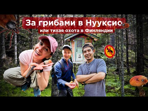 Видео: 🍄За грибами в Нууксио или Тихая охота в Финляндии