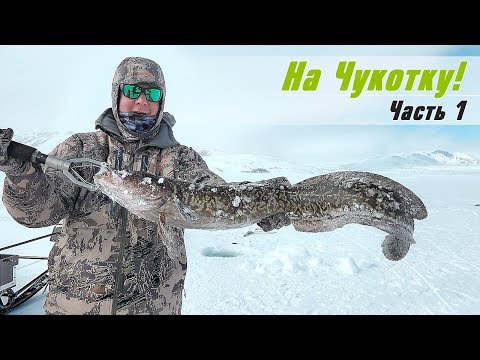 Видео: Рыбалка и охота на Чукотке весной. Ловля налима и гольца со льда на блесну