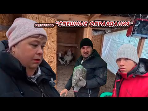 Видео: ОЛЬГА УРАЛОЧКА LIVE//СПЕШНЫЕ ОПРАВДАНИЯ//