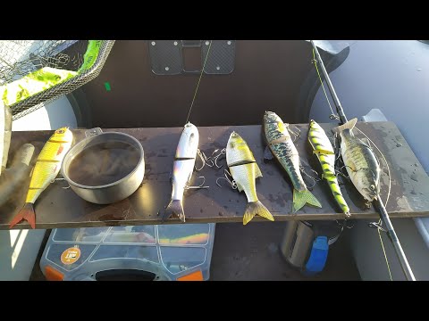 Видео: Рыбалка на спиннинг в отпуске.  День 3. " Несбыточные надежды ". Свимбейты.