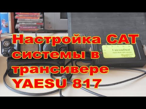 Видео: Настройка CAT системы в TX YAESU 817