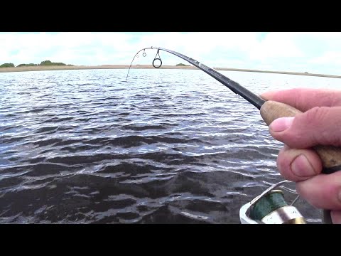 Видео: В этом месте Река Кишит Рыбой! Ловля Щуки на Спиннинг!