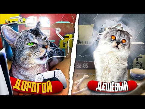 Видео: 24 ЧАСА В КАРТОННОМ ДОМЕ МИЛЛИОНЕРА VS БЕДНЯКА