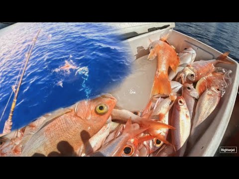 Видео: Целый день фристайла на удочку