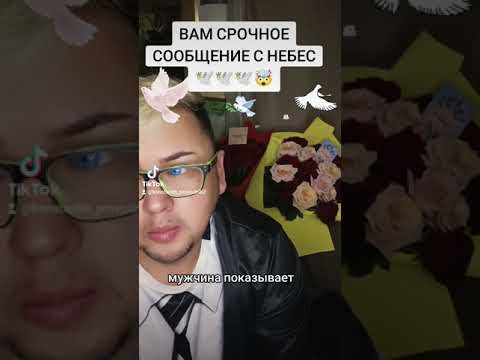 Видео: Срочное сообщение с Небес🕊️📩поддержать канал МИР💳2200💫3006💫1907💫7356💫#tarotcards#tarot #таро #любовь