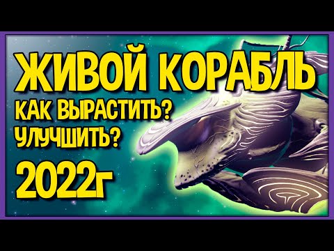 Видео: Живой корабль 2022 году | Как получить? Как улучшать? No Man's Sky Гайд