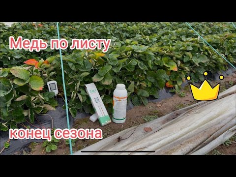 Видео: Осенняя обработка медью 