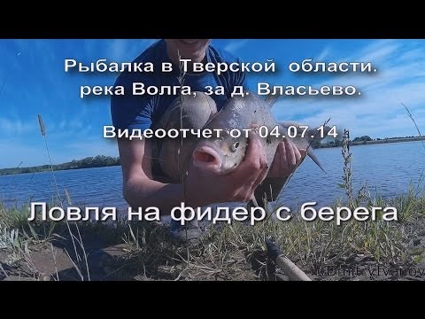 Видео: Рыбалка в Тверской области. р.Волга, за п.Власьево. Видеоотчет от 04.07.14