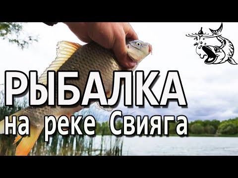 Видео: Рыбалка на Свияге в сентябре 09.09.2020