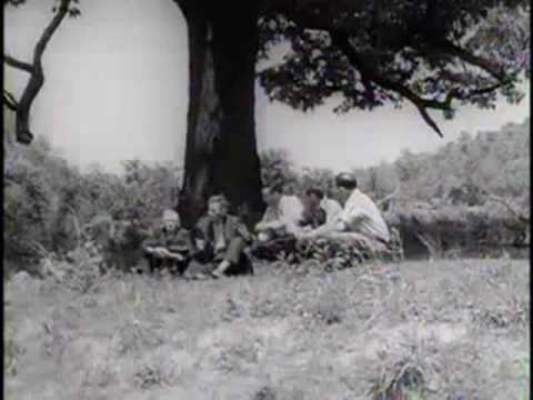 Видео: Алабамские нагорья (1937)