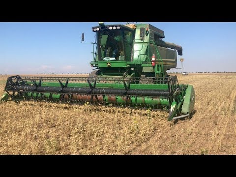 Видео: Подбираем жатку для уборки нута