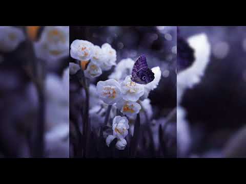 Видео: найтивыход - ты никому не нужен больше (slowed)