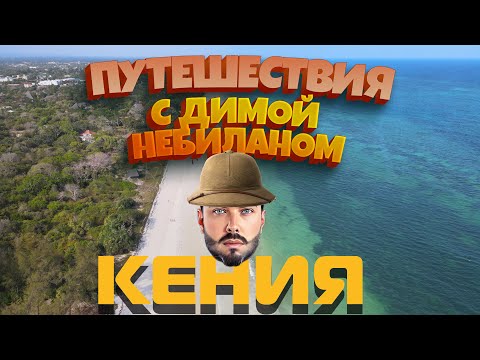 Видео: Кения | Сафари с Димой НеБиланом [2023 4k]