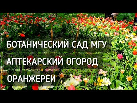 Видео: Ботанический сад МГУ. Аптекарский огород. Оранжереи. Цветочный рай / Botanical Garden #москва #сад