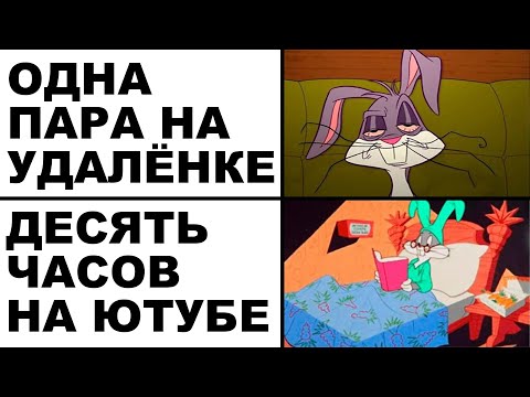 Видео: Мемы | Дневная подборка мемов 232