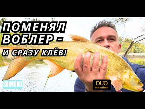 Видео: Поехал за жерехом! DUO VS SHIMANO! Сменил воблер — и вот что случилось!#рыбалка #жерех #fhising #câu