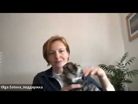 Видео: Телесная практика «Прикосновение самоподдержки»