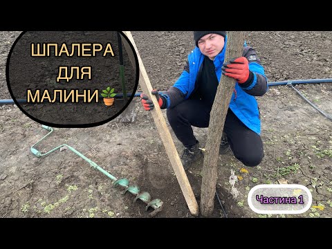 Видео: Як підв’язувати малину?Шпалера для малини. //Підготовка до сезону//