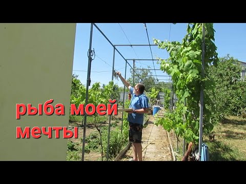 Видео: нет времени отдохнуть,время закаток