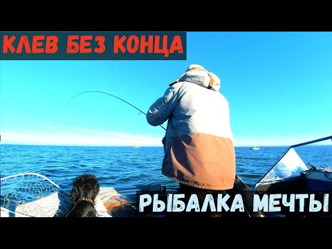 Видео: КАМЕРА НЕ УСПЕВАЕТ! РЫБА СТЕНОЙ, ПОКЛЕВКИ БЕЗ КОНЦА-ВОТ ЭТО РЫБАЛКА МЕЧТЫ.