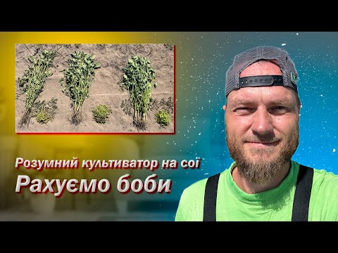 Видео: Розумний культиватор. Боби на сої