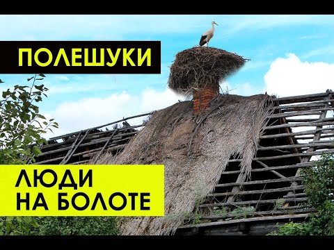 Видео: Заброшенные деревни Беларуси. Уникальная деревня на воде. Полешуки