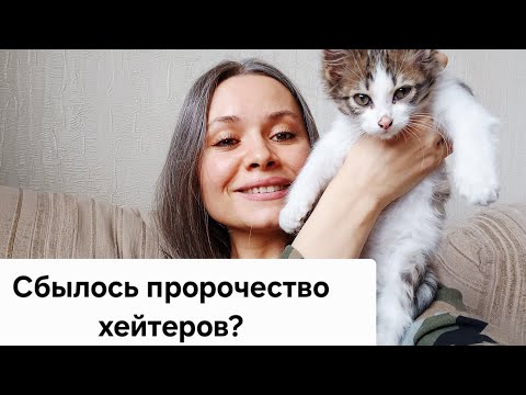 Видео: КТО?! КОТ!!! Ой, что делается?! 