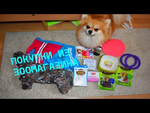 Видео: ПОКУПКИ ИЗ ЗООМАГАЗИНА ДЛЯ СОБАК