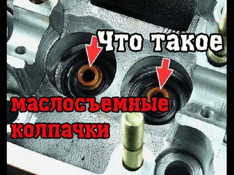 Видео: Замена маслосъемных колпачков РАЗВОД на ДЕНЬГИ.