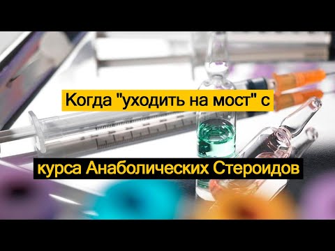 Видео: Когда уходить на "Мост" с курса Анаболических Стероидов